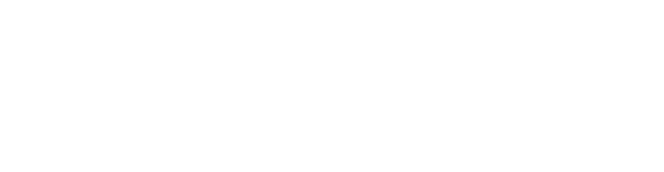 Securus CCTV